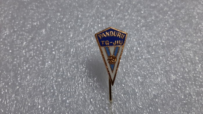 insigna Pandurii Tg, Jiu