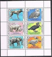 Bulgaria, fauna africana, elefanti, seria si blocul, 1988, MNH foto