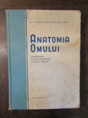 ANATOMIA OMULUI, ANGEIOLOGIE, GLANDE ENDOCRINE, SISTEMUL NERVOS - IAGNOV foto