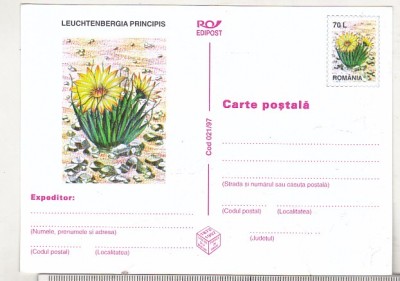 bnk cp Cactusi - necirculata - marca fixa - 021/97 foto
