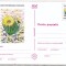 bnk cp Cactusi - necirculata - marca fixa - 021/97
