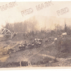 3529 - CALIMANESTI, Valcea, Bridge - old postcard, real Photo (14/9 cm) - unused