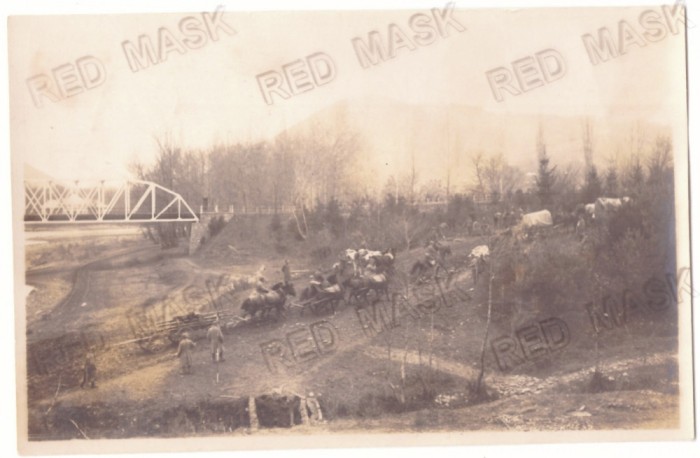 3529 - CALIMANESTI, Valcea, Bridge - old postcard, real Photo (14/9 cm) - unused