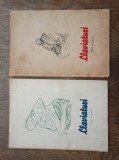 Cumpara ieftin CLAVIATURI.CAIET DE POEZIE* NUMERELE 3 SI 4/ 1943 * DOUA VOLUME,