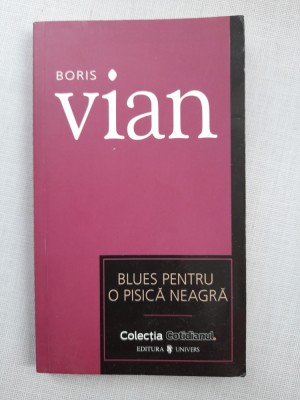 Blues pentru o pisica neagra- Boris Vian foto
