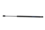 Amortizor capota st&acirc;nga față TESLA MODEL S 2020 OEM: 1062634-00-A 24697600