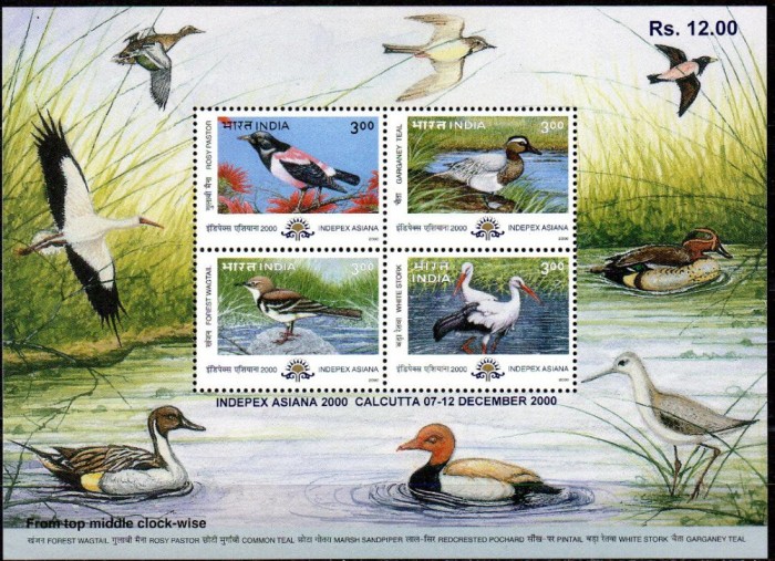 INDIA 2000, Fauna, serie neuzata, MNH