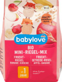 Babylove Baton de fructe mix organic mini 1 an, 100 g