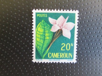 CAMERUN SERIE MNH=51 foto