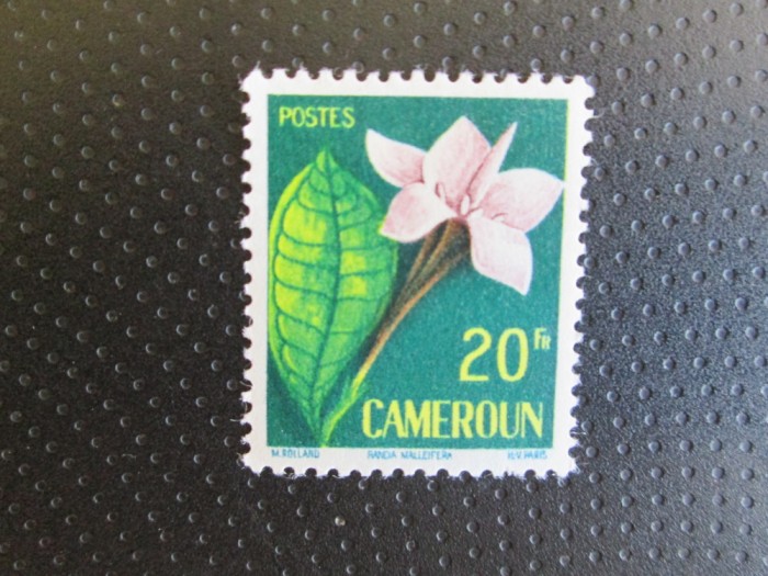 CAMERUN SERIE MNH=51
