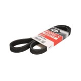 Curea transmisie cu caneluri Gates 6DPK1195