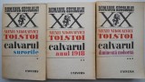 Calvarul - Alexei Tolstoi (3 Volume) - Roman Beletristica