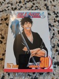 Bleach, vol 30, Tite Kubo