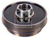 FEBI BILSTEIN 174291 Fulie curea, arbore cotit
