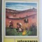 Intoarcerea bastinasului - Thomas Hardy