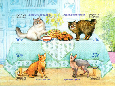 RUSIA 2020, Fauna, Pisici, serie neuzata, MNH foto
