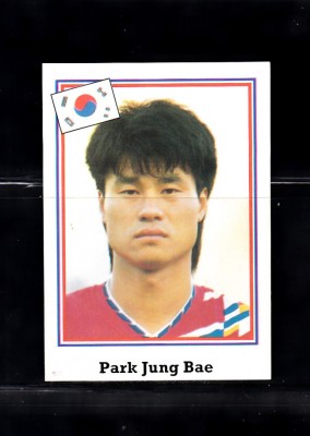 B10 - Sticker fotbal - Campionatul mondial USA - 1994 - nr 202 foto