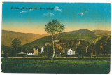 1473 - MARAMURES, Panorama, Romania - old postcard - unused, Necirculata, Printata