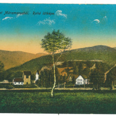 1473 - MARAMURES, Panorama, Romania - old postcard - unused