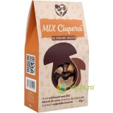 Mix de Ciuperci de Padure Uscate 30g