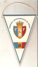 Fanion Federatia Moldoveneasca de fotbal foto