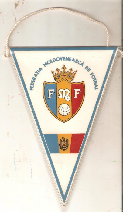 Fanion Federatia Moldoveneasca de fotbal