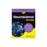 Neuroscience for Dummies