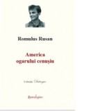 America ogarului cenusiu - Romulus Rusan