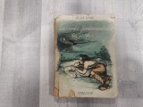 Vacanta sentimentala in Scotia de Olga Caba