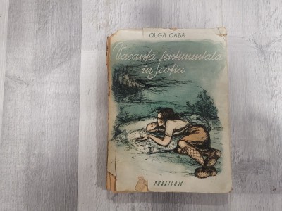 Vacanta sentimentala in Scotia de Olga Caba foto