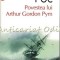 Povestea Lui Arthur Gordon Pym - E. A. Poe