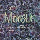 Attack of the Grey Lantern - Vinyl | Mansun, Rock, Kscope