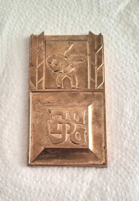 Placheta Judo rara