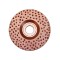 Disc abraziv standard