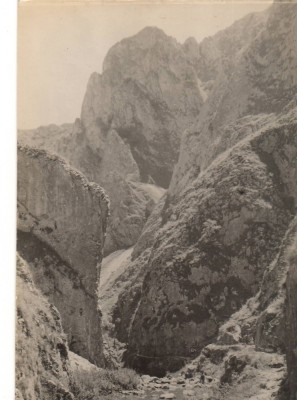 CPIB 22780 - CARTE POSTALA - CHEILE TURZII, RPR, NECIRCULATA foto