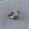 Pompa de combustibil RENAULT LAGUNA II BG0/1_ 2005 OEM: Hatchback | 1466766