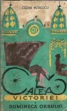 Calea victoriei. Dumineca orbului - Cezar Petrescu