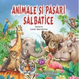 Animale si pasari salbatice. Varsta 2+, cartonata integral, colturi rotunjite