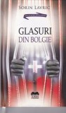 Sorin Lavric - Glasuri din bolgie carte psihologie umana explorare suflet carte filozofie romana colectia Istoria Mentalitatilor