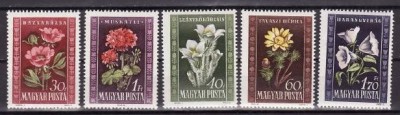 C814 - Ungaria 1950 - Flora 5v.neuzat,perfecta stare foto