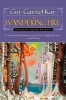 The Wandering Fire - Guy Gavriel Kay - Carte Straina in Engleza - Fionavar Tapestry #2