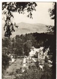 CPI B13784 CARTE POSTALA - SANGEORZ BAI, VEDERE DIN PARC, Circulata, Fotografie