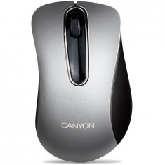 Mouse Canyon CNE-CMS3 silver foto