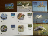 Montserrat - pasari - serie 4 timbre MNH, 4 FDC, 4 maxime, fauna wwf
