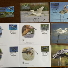 Montserrat - pasari - serie 4 timbre MNH, 4 FDC, 4 maxime, fauna wwf