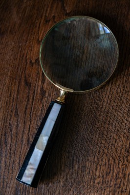 Lupa cu m&amp;acirc;ner sidef foto