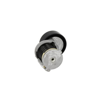 Intinzator curea AUDI A4 8EC B7 BTA E2W0023BTA foto