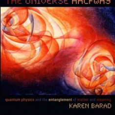 Meeting the Universe Halfway: Quantum Physics and the Entanglement of Matter and Meaning