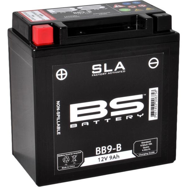 Baterie BS Battery SLA (9AH 12v)