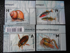 Serie timbre fauna animale nestampilate insecte pesti Belarus timbre filatelice foto